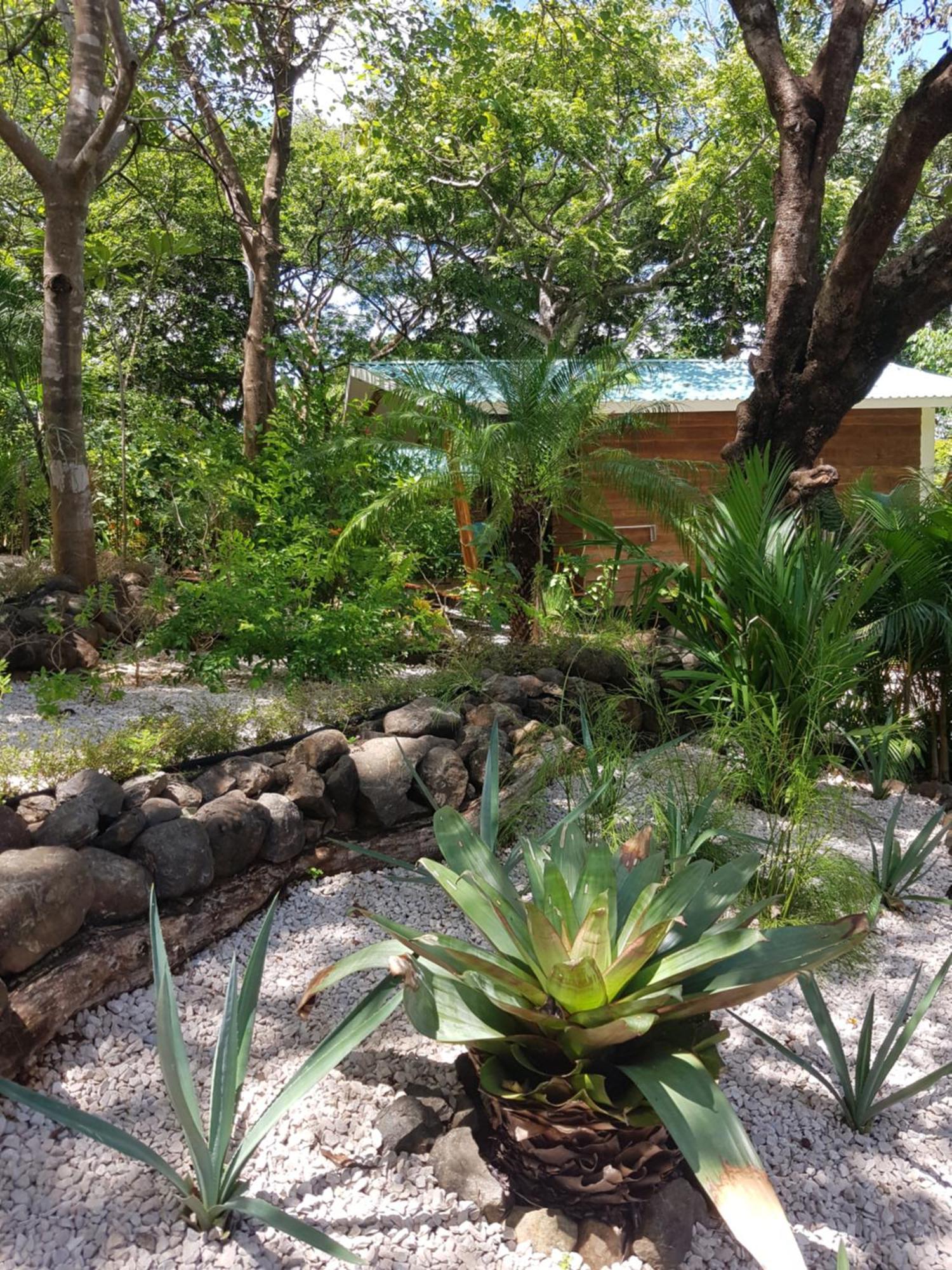 Baliyana Lodge San José Pinilla Exteriör bild