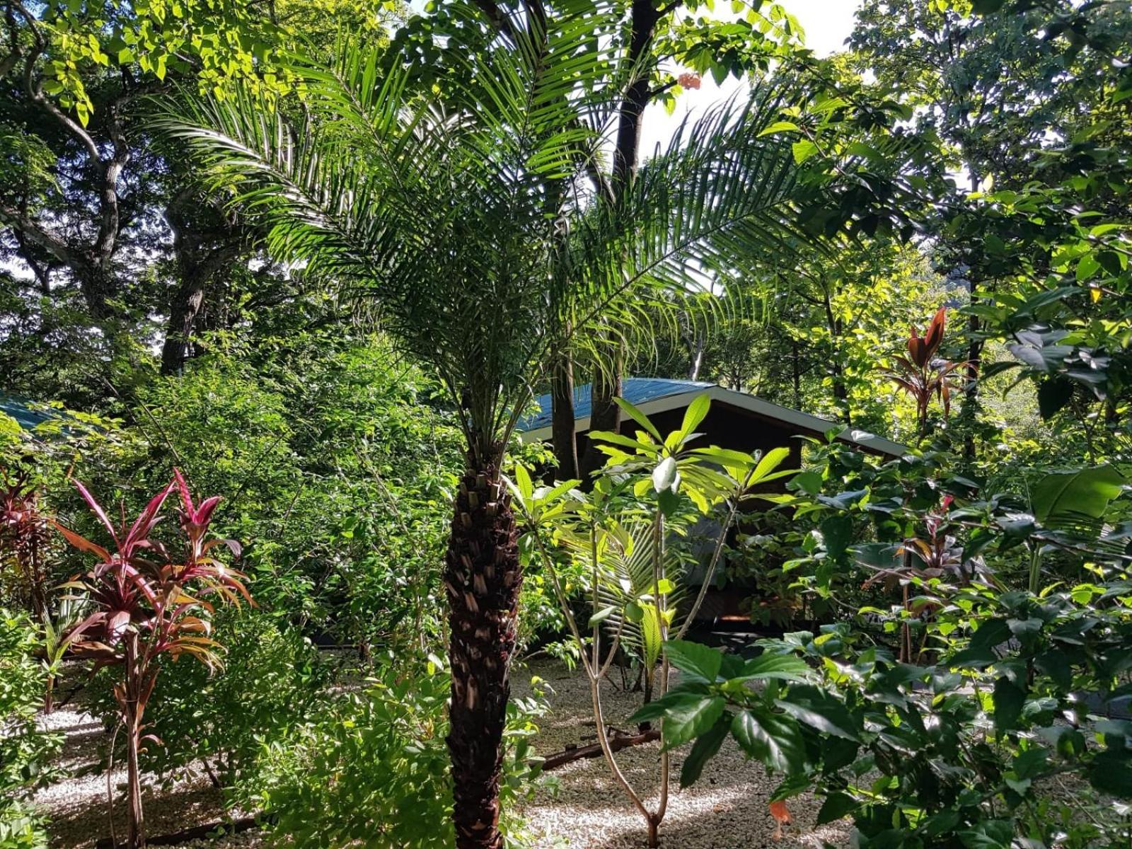 Baliyana Lodge San José Pinilla Exteriör bild